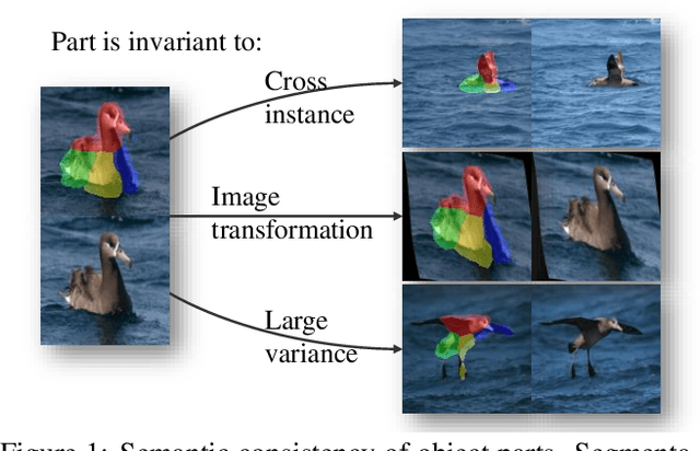 Figure 1 for Unsupervised Part Segmentation through Disentangling Appearance and Shape