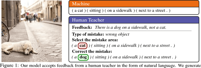 Figure 1 for Teaching Machines to Describe Images via Natural Language Feedback