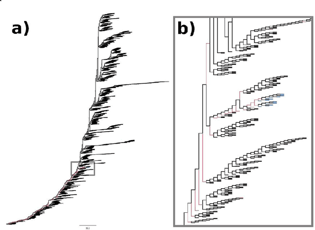 Figure 3 for MutaGAN: A Seq2seq GAN Framework to Predict Mutations of Evolving Protein Populations