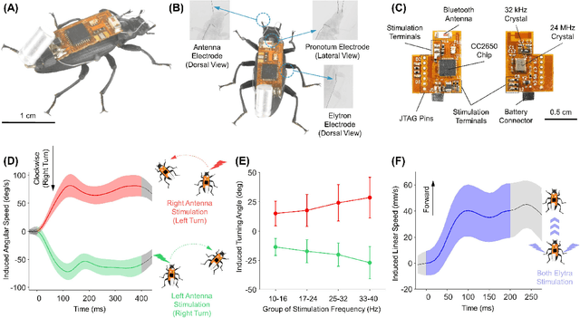 Figure 1 for Cyborg Beetle Achieves Efficient Autonomous Navigation Using Feedback Control