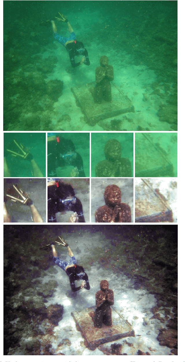 Figure 1 for Underwater Image Color Correction by Complementary Adaptation