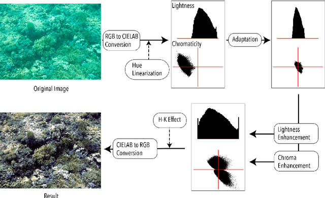 Figure 2 for Underwater Image Color Correction by Complementary Adaptation