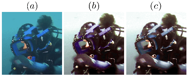 Figure 4 for Underwater Image Color Correction by Complementary Adaptation