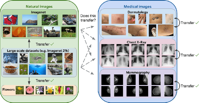 Figure 1 for Supervised Transfer Learning at Scale for Medical Imaging
