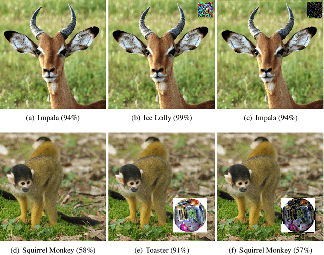 Figure 1 for Local Gradients Smoothing: Defense against localized adversarial attacks