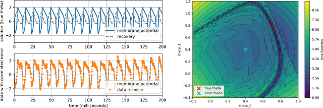 Figure 1 for Parameter Estimation with Dense and Convolutional Neural Networks Applied to the FitzHugh-Nagumo ODE