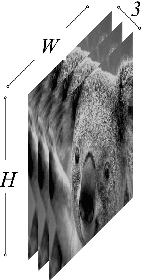 Figure 2 for Deep Koalarization: Image Colorization using CNNs and Inception-ResNet-v2