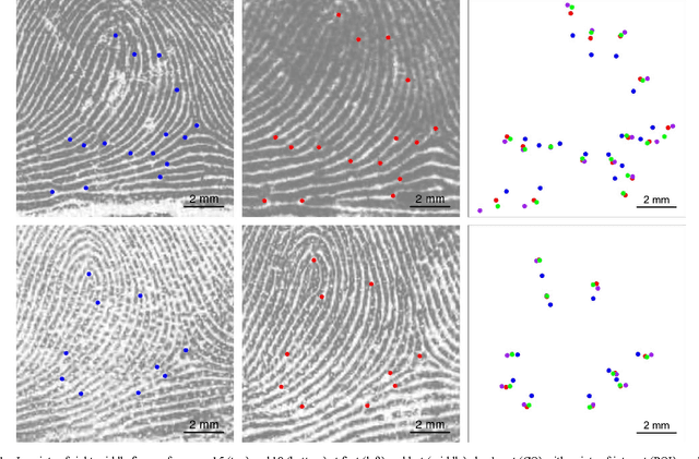 Figure 1 for Modeling the growth of fingerprints improves matching for adolescents