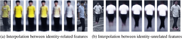 Figure 1 for Learning Disentangled Representation for Robust Person Re-identification