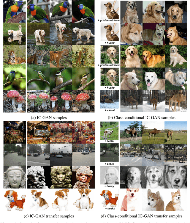Figure 1 for Instance-Conditioned GAN