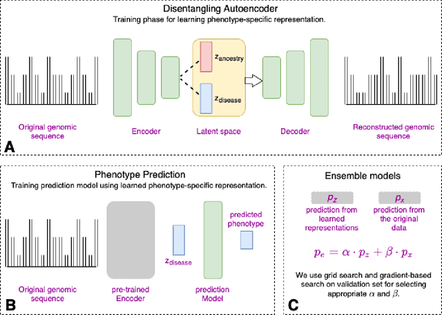 Figure 1 for Improving genetic risk prediction across diverse population by disentangling ancestry representations