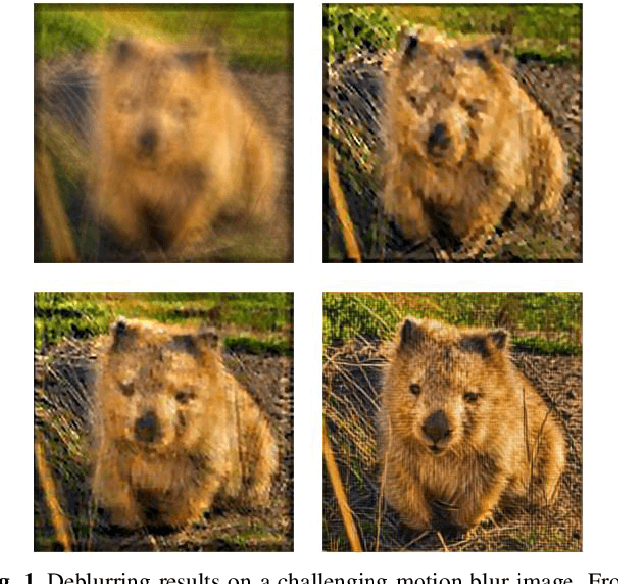 Figure 1 for Blind Motion Deblurring with Cycle Generative Adversarial Networks