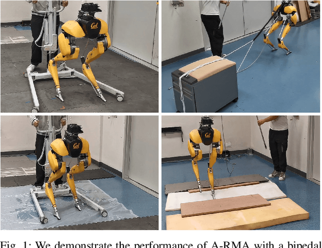 Figure 1 for Adapting Rapid Motor Adaptation for Bipedal Robots