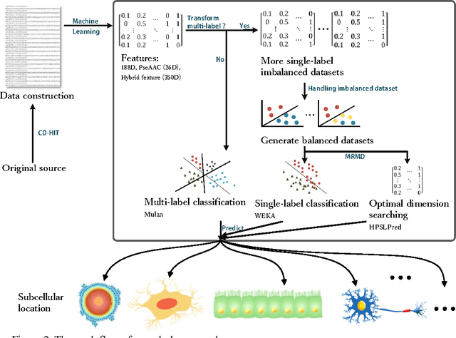 Figure 3 for HPSLPred: An Ensemble Multi-label Classifier for Human Protein Subcellular Location Prediction with Imbalanced Source