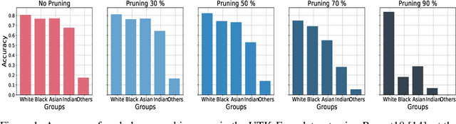Figure 1 for Pruning has a disparate impact on model accuracy