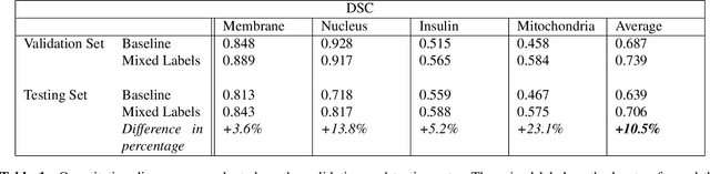 Figure 2 for Neural Network Segmentation of Cell Ultrastructure Using Incomplete Annotation