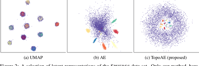 Figure 3 for Topological Autoencoders