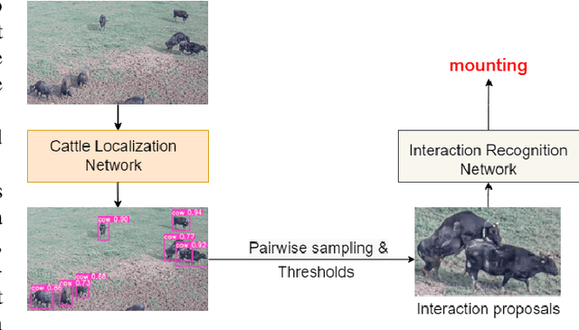 Figure 2 for Real-Time Cattle Interaction Recognition via Triple-stream Network