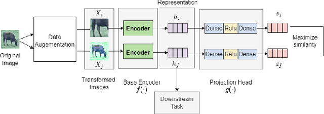 Figure 4 for Real-Time Cattle Interaction Recognition via Triple-stream Network