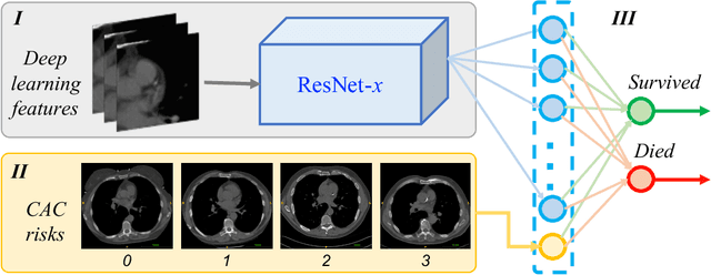 Figure 1 for Hybrid deep neural networks for all-cause Mortality Prediction from LDCT Images