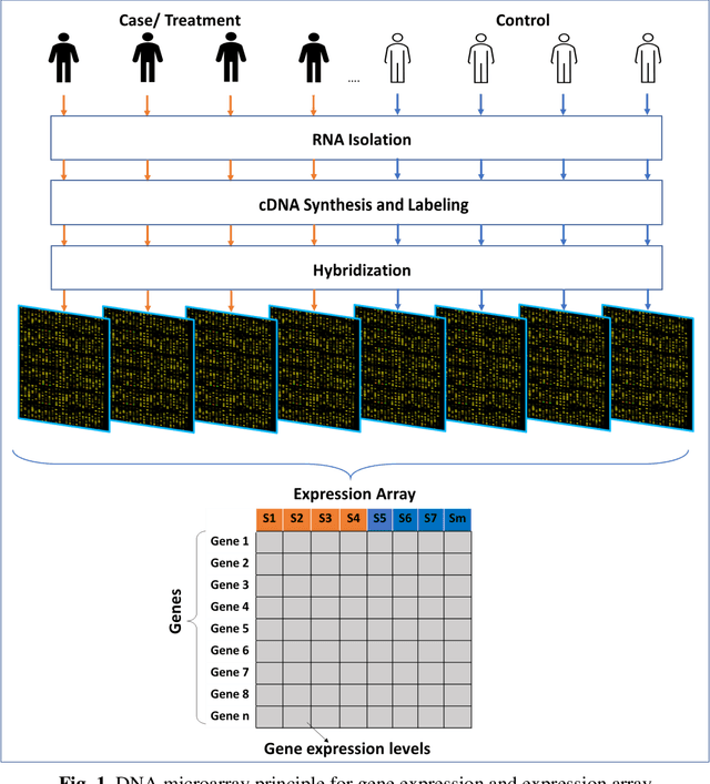 Figure 1 for Comprehensive survey of computational learning methods for analysis of gene expression data in genomics