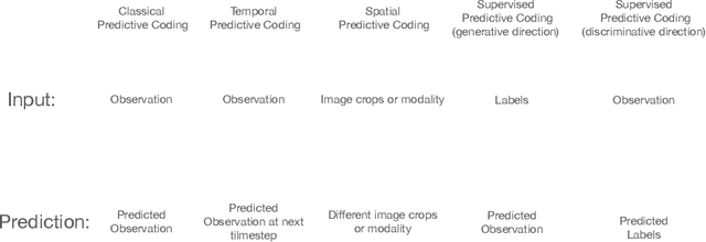 Figure 3 for Predictive Coding: a Theoretical and Experimental Review