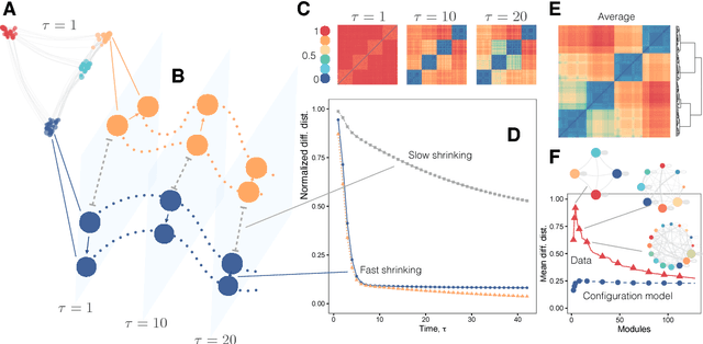 Figure 2 for Diffusion geometry unravels the emergence of functional clusters in collective phenomena