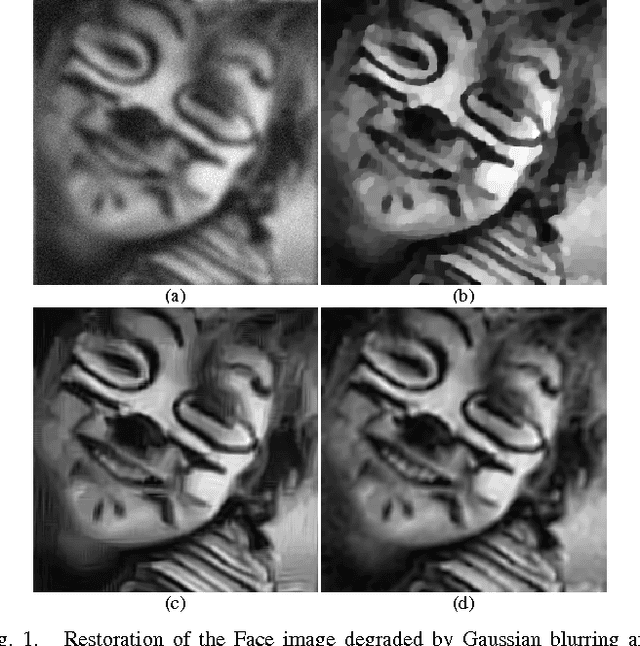 Figure 1 for Hessian Schatten-Norm Regularization for Linear Inverse Problems