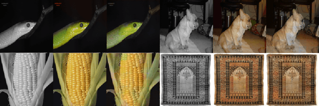 Figure 4 for MetalGAN: a Cluster-based Adaptive Training for Few-Shot Adversarial Colorization