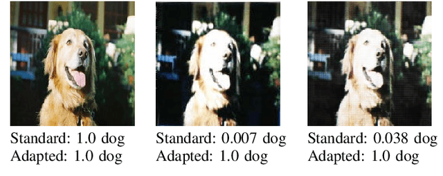Figure 1 for A Simple Domain Shifting Networkfor Generating Low Quality Images