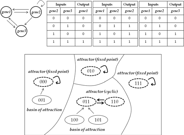 Figure 1 for Antifragility Predicts the Robustness and Evolvability of Biological Networks through Multi-class Classification with a Convolutional Neural Network