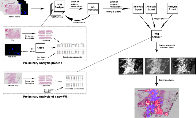 Figure 1 for Weighted multi-level deep learning analysis and framework for processing breast cancer WSIs