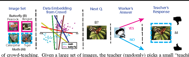 Figure 1 for Near-Optimally Teaching the Crowd to Classify