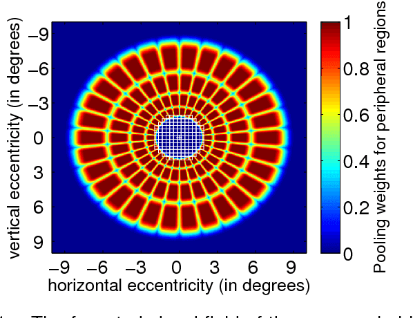 Figure 1 for Object Detection Through Exploration With A Foveated Visual Field