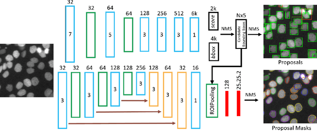 Figure 1 for Cell Tracking via Proposal Generation and Selection