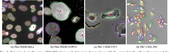 Figure 3 for Cell Tracking via Proposal Generation and Selection