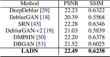 Figure 4 for Benchmarking Deep Deblurring Algorithms: A Large-Scale Multi-Cause Dataset and A New Baseline Model