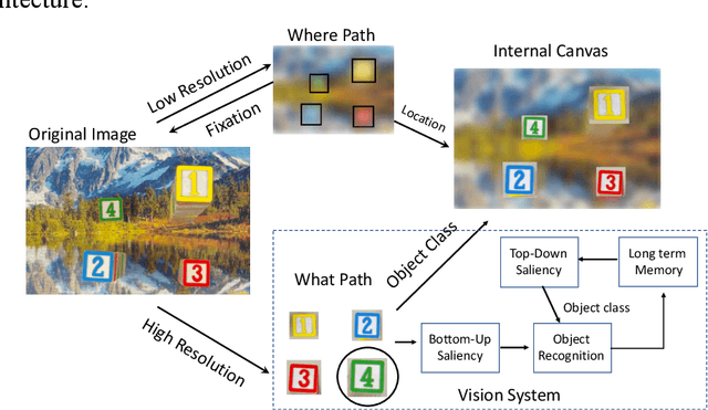 Figure 3 for Unsupervised Foveal Vision Neural Networks with Top-Down Attention