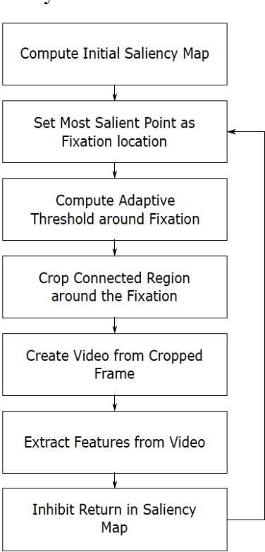 Figure 4 for Unsupervised Foveal Vision Neural Networks with Top-Down Attention