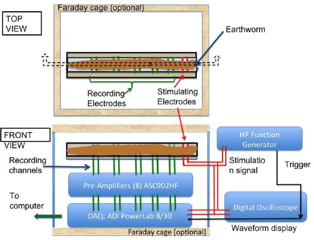 Figure 1 for The impact of varying electrical stimulation parameters on neuromuscular response