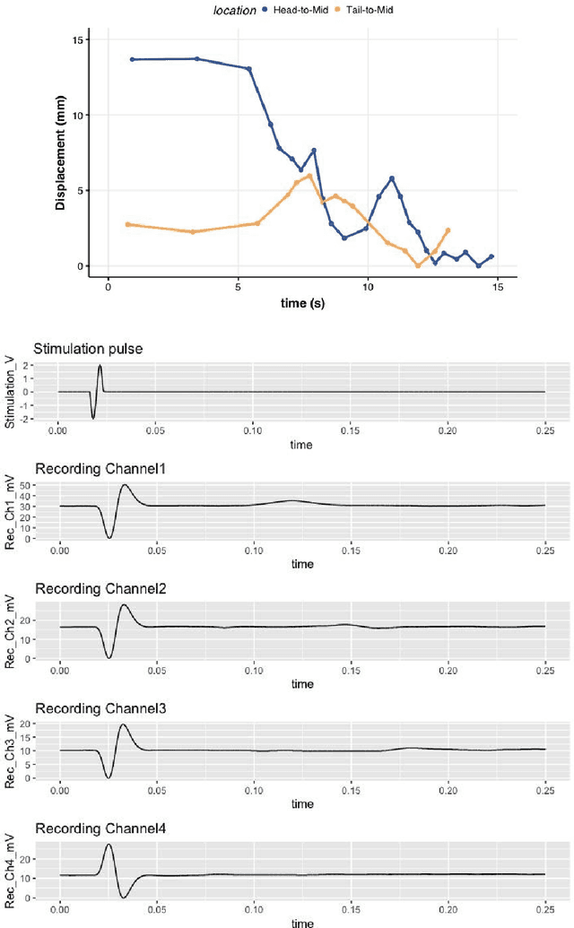 Figure 4 for The impact of varying electrical stimulation parameters on neuromuscular response