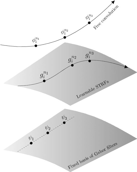 Figure 1 for Learning spectro-temporal representations of complex sounds with parameterized neural networks