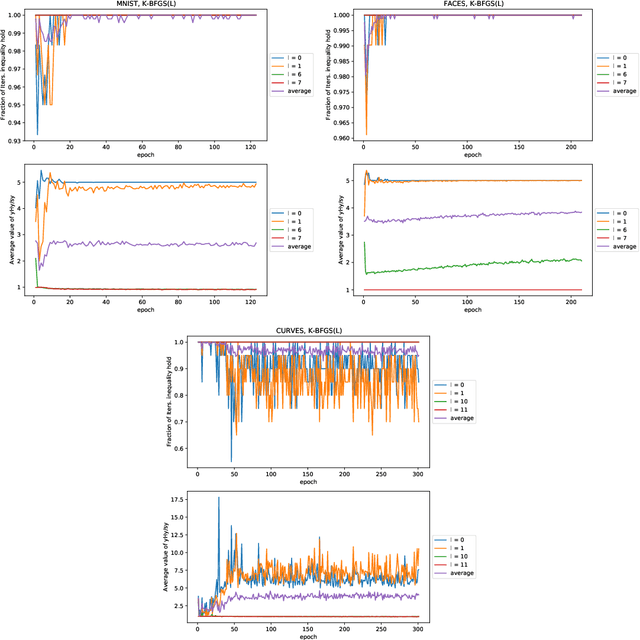 Figure 4 for Practical Quasi-Newton Methods for Training Deep Neural Networks