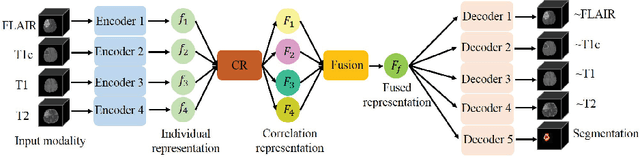 Figure 1 for Brain tumor segmentation with missing modalities via latent multi-source correlation representation