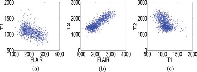 Figure 3 for Brain tumor segmentation with missing modalities via latent multi-source correlation representation