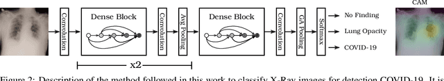 Figure 3 for A free web service for fast COVID-19 classification of chest X-Ray images