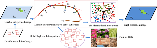 Figure 1 for Single Image Super Resolution via Manifold Approximation