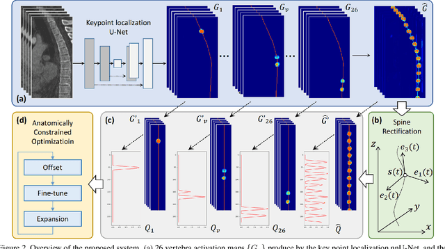 Figure 3 for Automatic Vertebra Localization and Identification in CT by Spine Rectification and Anatomically-constrained Optimization