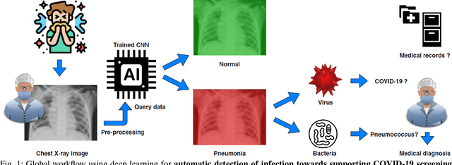 Figure 1 for Deep Learning on Chest X-ray Images to Detect and Evaluate Pneumonia Cases at the Era of COVID-19