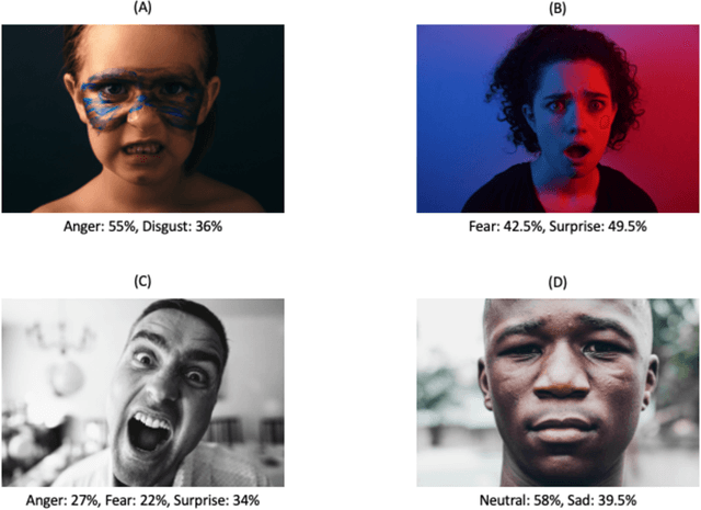 Figure 1 for Using Crowdsourcing to Train Facial Emotion Machine Learning Models with Ambiguous Labels
